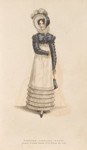Parisian Carriage Dress