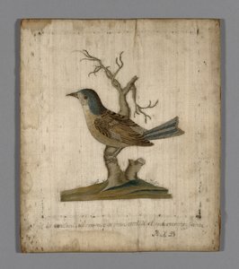 Picture of a Bird by Unknown artist