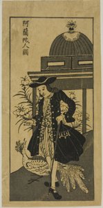 Picture of a Hollander with a Peacock