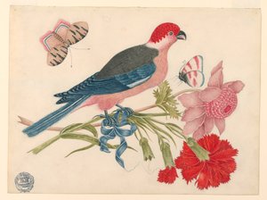 Pink, Red, Blue, and Black Bird on Branch with Blossoms and Butterflies by Unknown artist