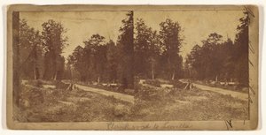 Plank Road to Lowella (recto); Unidentified City (verso)