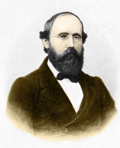 Portrait of Bernhard Riemann, German mathematician (1826-1866) by Unknown artist