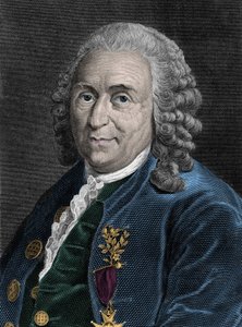 Portrait of Charles Linne (Carl von Linne, Linneus 1707-1778), Swedish Naturalist by Unknown artist