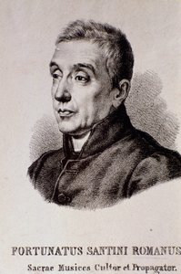 Portrait of Fortunato Santini by Unknown artist