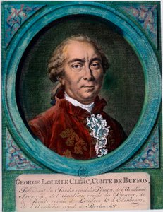 Portrait of George Louis Le Clerc, Count of Buffon by Unknown artist
