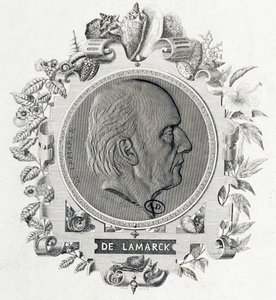 Portrait of Jean Baptiste Lamarck - Engraving by Unknown artist
