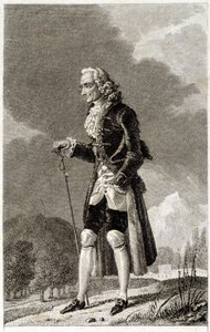 Portrait of Voltaire (1694-1778), French Writer and Philosopher, Elderly by Unknown artist