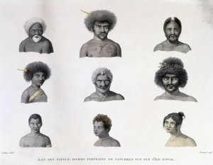 Portraits of the Papua from Rawak Island by Unknown artist