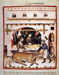 Production and sale of beef: a beef is stunned. Illumination from the milking of medicine and dietetics 