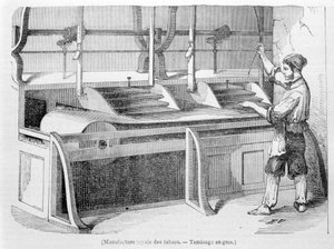 Royal Tobacco Factory: Wholesale sieving of tobacco. 19th century engraving. by Unknown artist