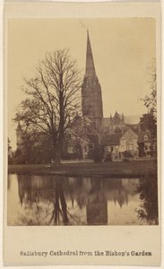 Salisbury Cathedral from the Bishop