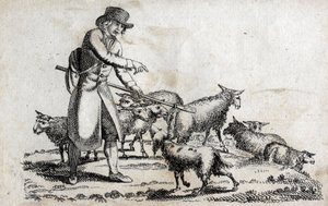 Shepherd with his herd of sheep. Engraving late 18th century. Private collection.
