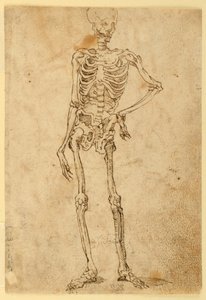 Skeleton by Unknown artist