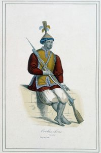 Soldier of Cochinchinean armor - in 