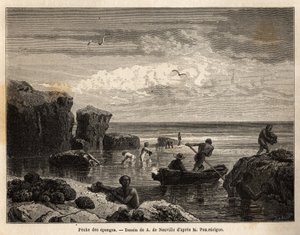 Sponge fishing by the Islanders of Anastasia Island by Unknown artist