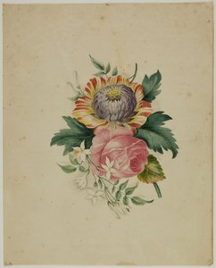 Spray of Flowers