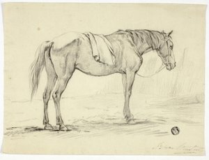 Standing Horse