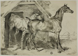 Standing Mare and Colt