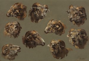 Studies of Ram Heads
