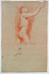 Study: A Nude