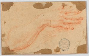Study for the Right Forearm and Hand of a Woman