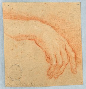 Study of a Right Hand by Unknown artist