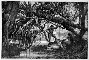 Tapir Killed by Indians of Brazil - in Round the World, 2nd Semester 1874