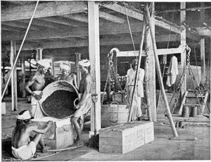 Tea Packaging and Boxing in India