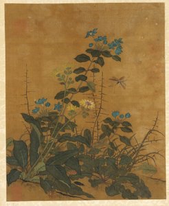 Ten Pictures of Flowers, Fruits and Birds