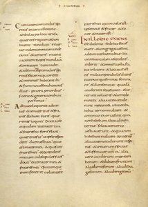 Text Page