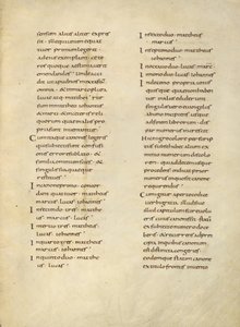 Text Page