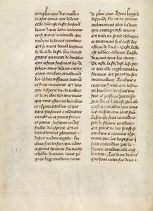 Text Page by Unknown artist