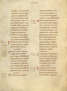 Text Page