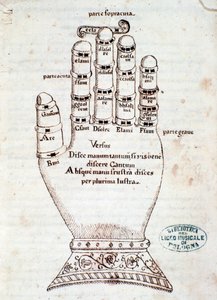 The Guidonian hand