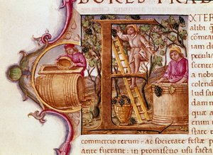The Harvest