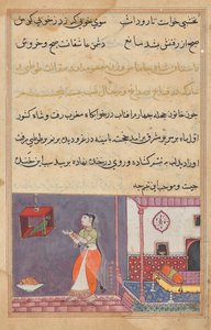 The Parrot Addresses Khujasta at the Beginning of the Twenty-fifth Night, from Tales of a Parrot