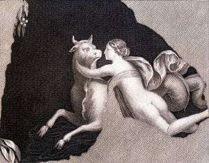 The Abduction of Europa - Engraving