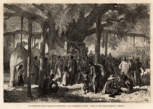 The Annamites of Garnier