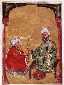 The Doctor and Botanist Pedanius Dioscorides Sitting with One of His Students by Unknown artist