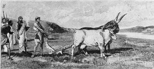 The Foundation of Rome (19th Century Engraving) by Unknown artist