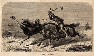 The ostrich hunt, drawn from a photograph, to illustrate the story of hunting in Africa by William Charles Baldwin between 1852 and 1860. Engraving in 