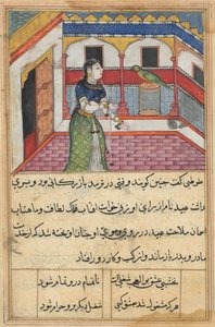 The parrot addresses Khujasta at the beginning of the forty-second night, from Tales of a Parrot by Unknown artist
