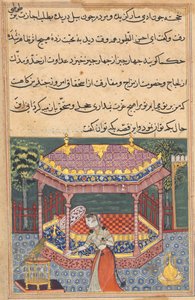 The parrot addresses Khujasta at the beginning of the thirty-seventh night, from a Tuti-nama (Tales of a Parrot) by Unknown artist
