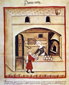 The preparation of bread with millet. Illumination from the milking of medicine and dietetics Tacuinum sanitatis