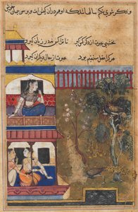 The queen of Rum watches the peahen prefer to burn rather than abandon her eggs while the peacock flees the nest, from a Tuti-nama (Tales of a Parrot): Thirty-ninth Night by Unknown artist