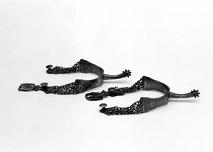 The Spurs of Napoleon I Used During the Italian Campaign. Milan Museo del Risorgimento by Unknown artist