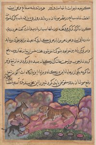The Wolf Advises the Lion to Consult the Cat, from a Tuti-nama (Tales of a Parrot): Fifteenth Night by Unknown artist