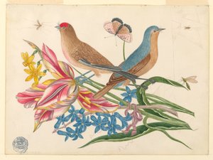 Two Birds on a Branch of Tulips with Insects