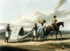Unknown Image