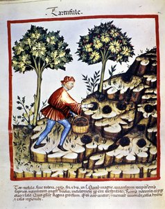 Unknown Image by Unknown artist